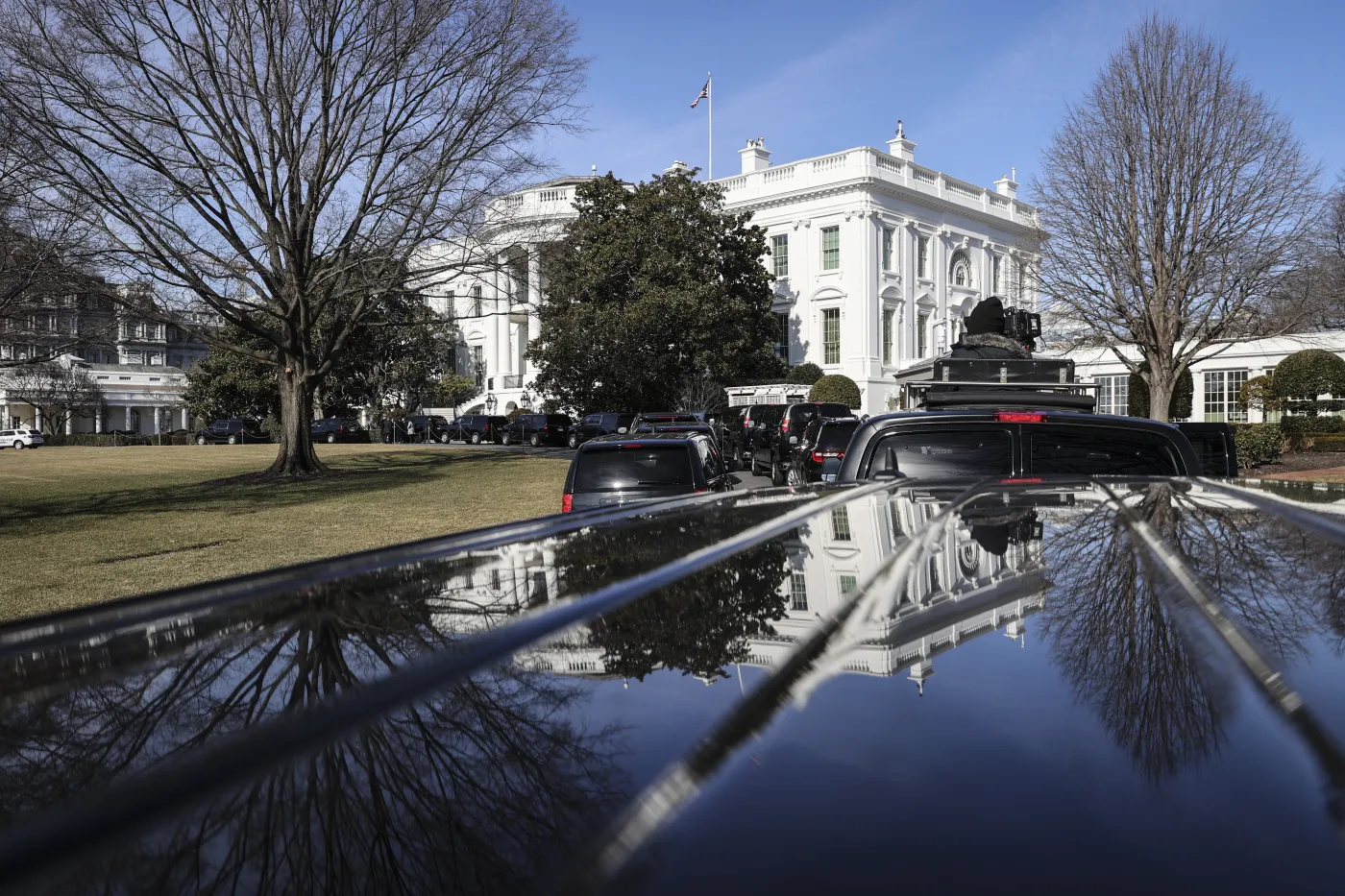 "Pierwsze psy" w Białym Domu. Biden wrócił do tradycji