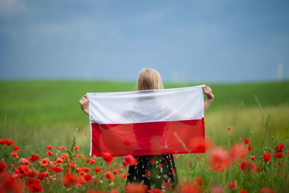 Polska ma szanse zostać ważnym graczem na e-rynku europejskim [RAPORT]