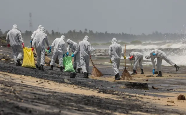 Katastrofa ekologiczna na Sri Lance. Morze na brzeg wyrzuca martwe zwierzęta