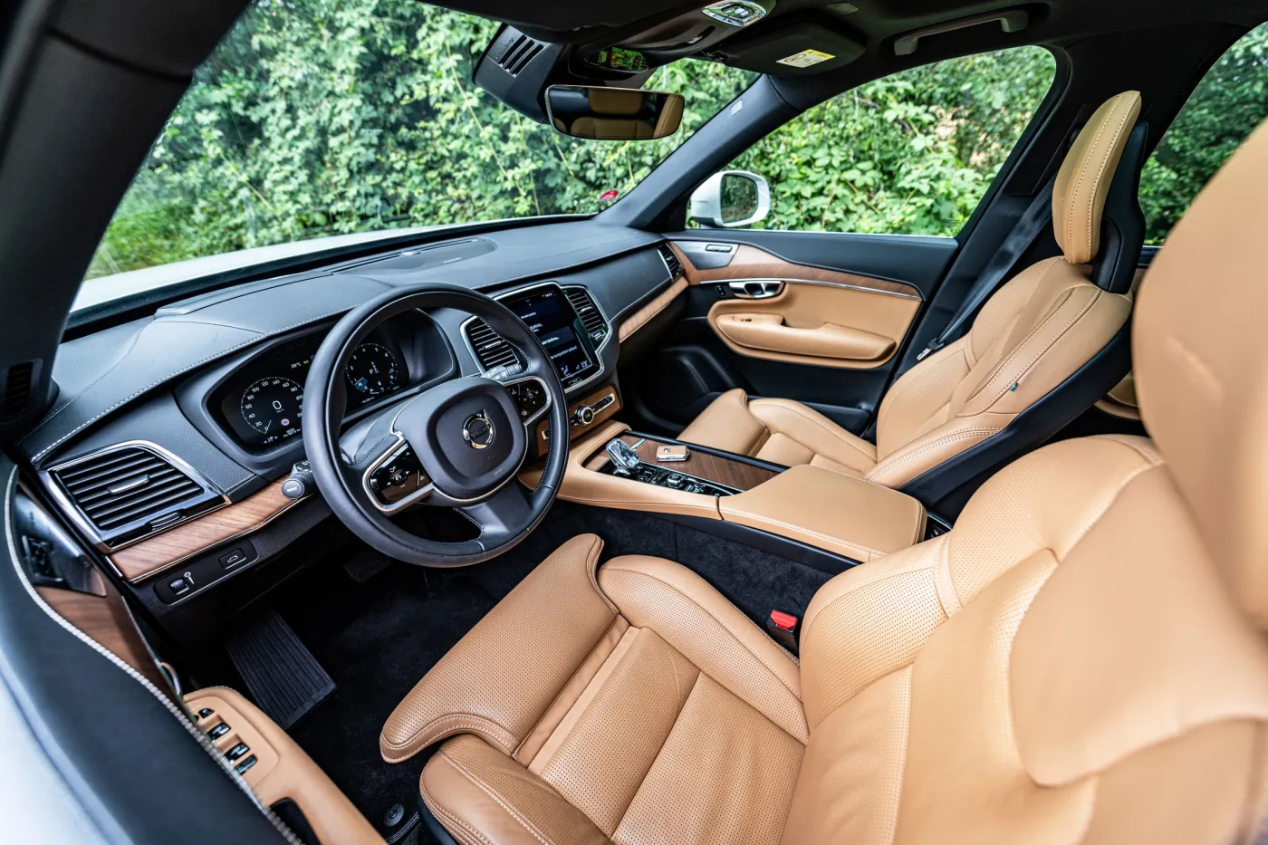 Bąk: Stary Szwed i może [OPINIA]