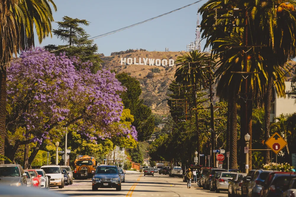 Hollywood w obliczu strajku tysięcy pracowników. Produkcje filmów zagrożone