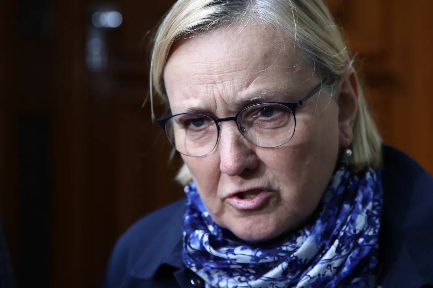 Mur na granicy? "Ta ohydna, okropna konstrukcja będzie stała w pięknym terenie"