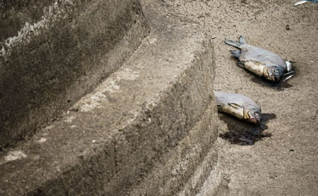 "Uwaga! Zanieczyszczona woda w Nerze". RCB rozszerza alert