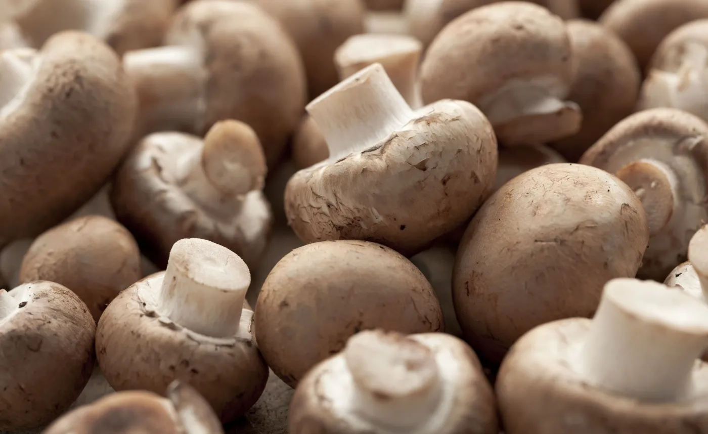 Co trzecia wyeksportowana pieczarka pochodzi z Polski