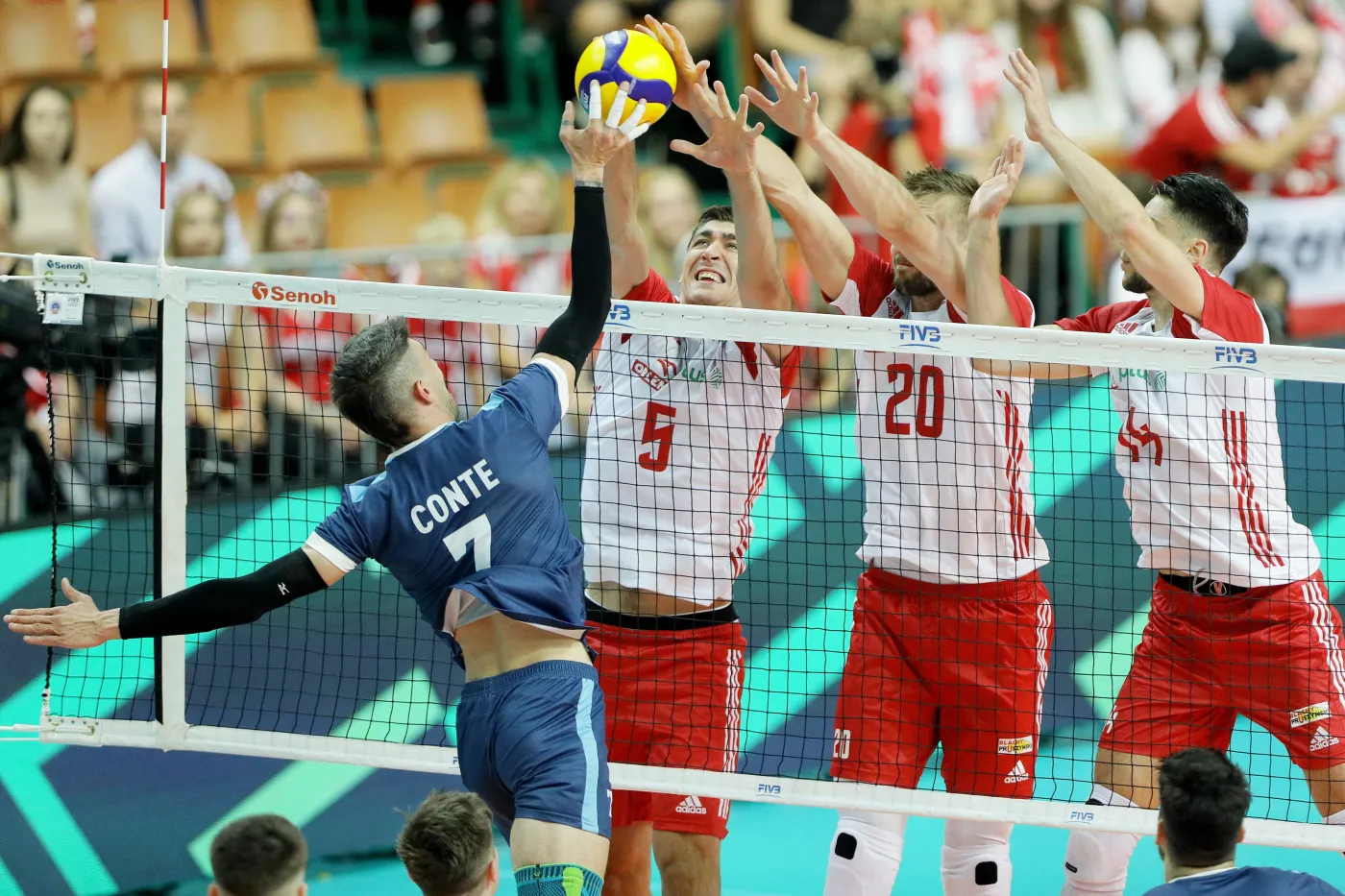 Argentyna bez szans. Polacy zaliczyli ostatni i test przed MŚ