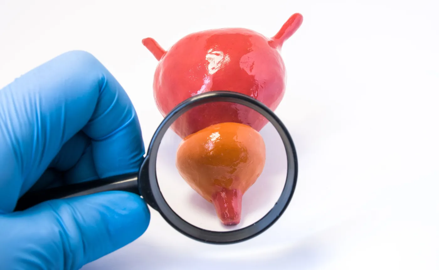 Kiedy prostata choruje. Od objawów, przez diagnozę po leczenie