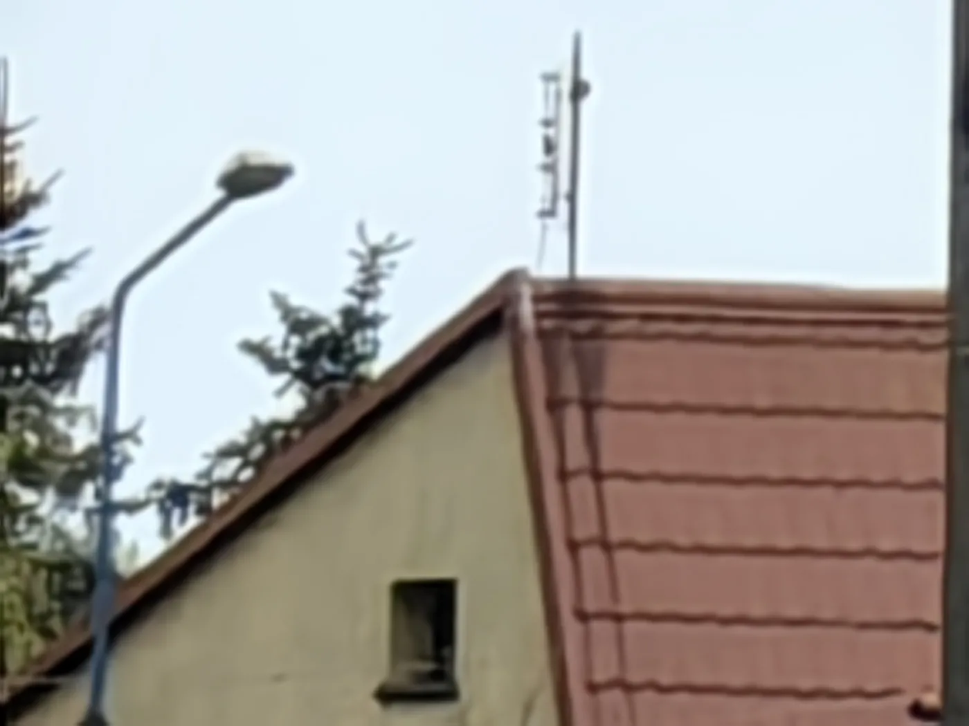 Zdjęcie wykonane telefonem Huawei P60 Pro
