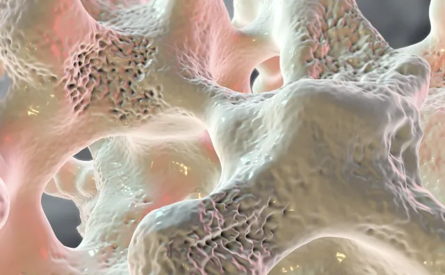 Kto powinien zrobić densytometrię? Przez pandemię spadła liczba tych badań!