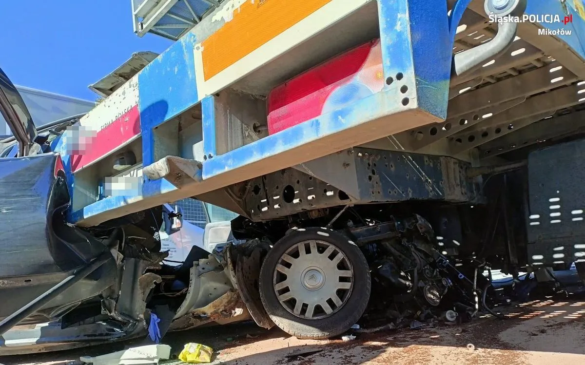 50-777167-37928287.jpg