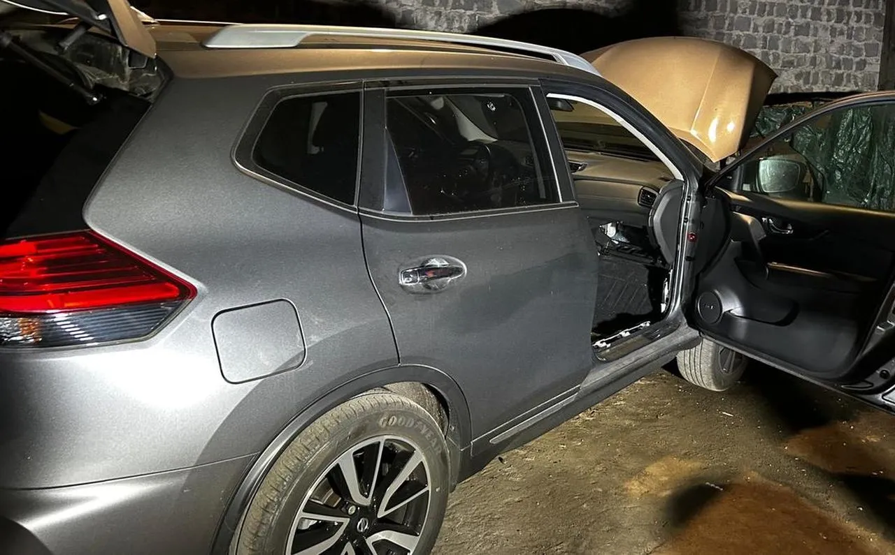 Zatrzymani na gorącym uczynku: byli akurat zajęci rozbieraniem kradzionego auta na części (WIDEO)