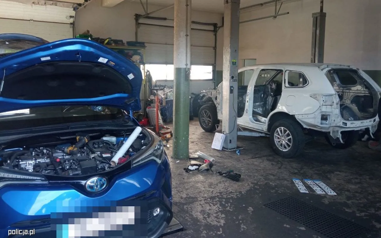 "Kobra" ugryzła złodziei samochodów! Tak wygląda dziupla przestępców