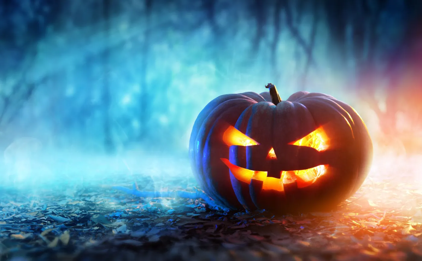 Areszt za Halloween i kara za słowa "cukierek albo psikus"? KOMENTARZ Tuska i Biedronia