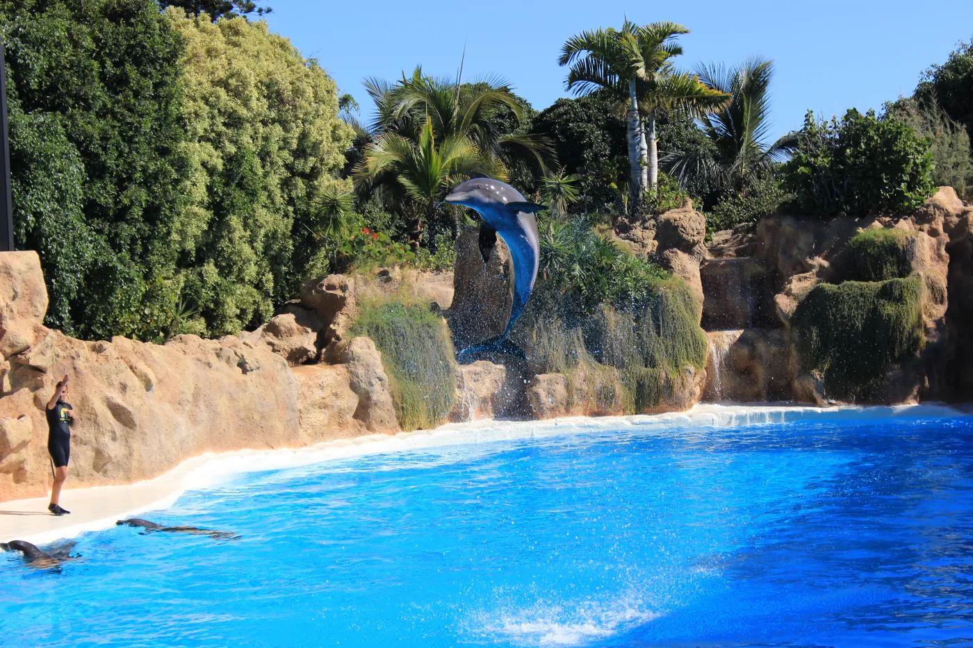 Krajobrazy jak z Marsa, czarne plaże... To wszystko zobaczysz na Teneryfie [FOTO]