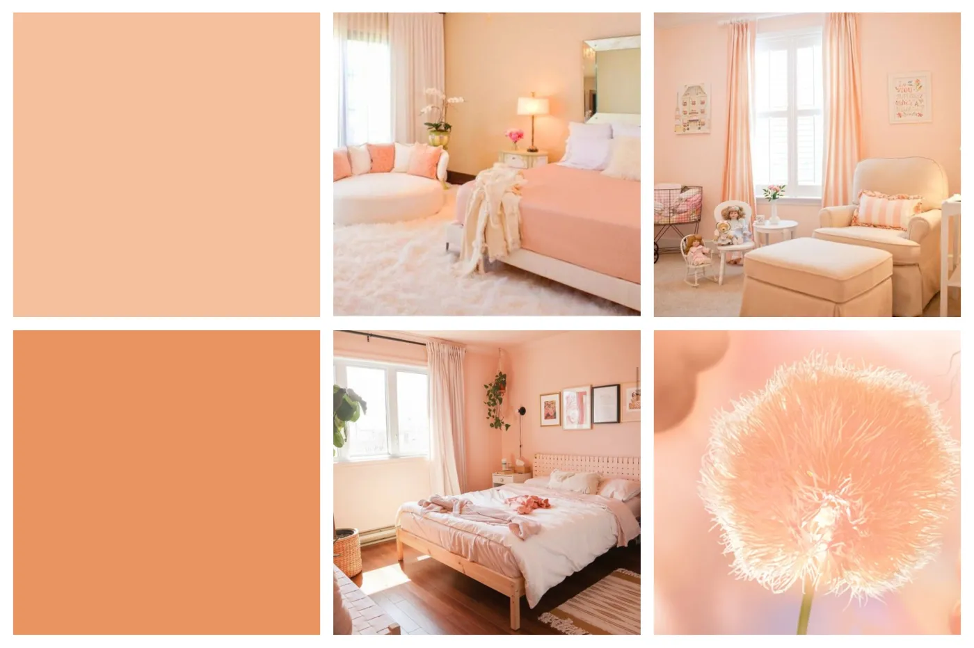 Kolor roku 2024 wybrany. Ma odzwierciedlać pragnienie bliskości