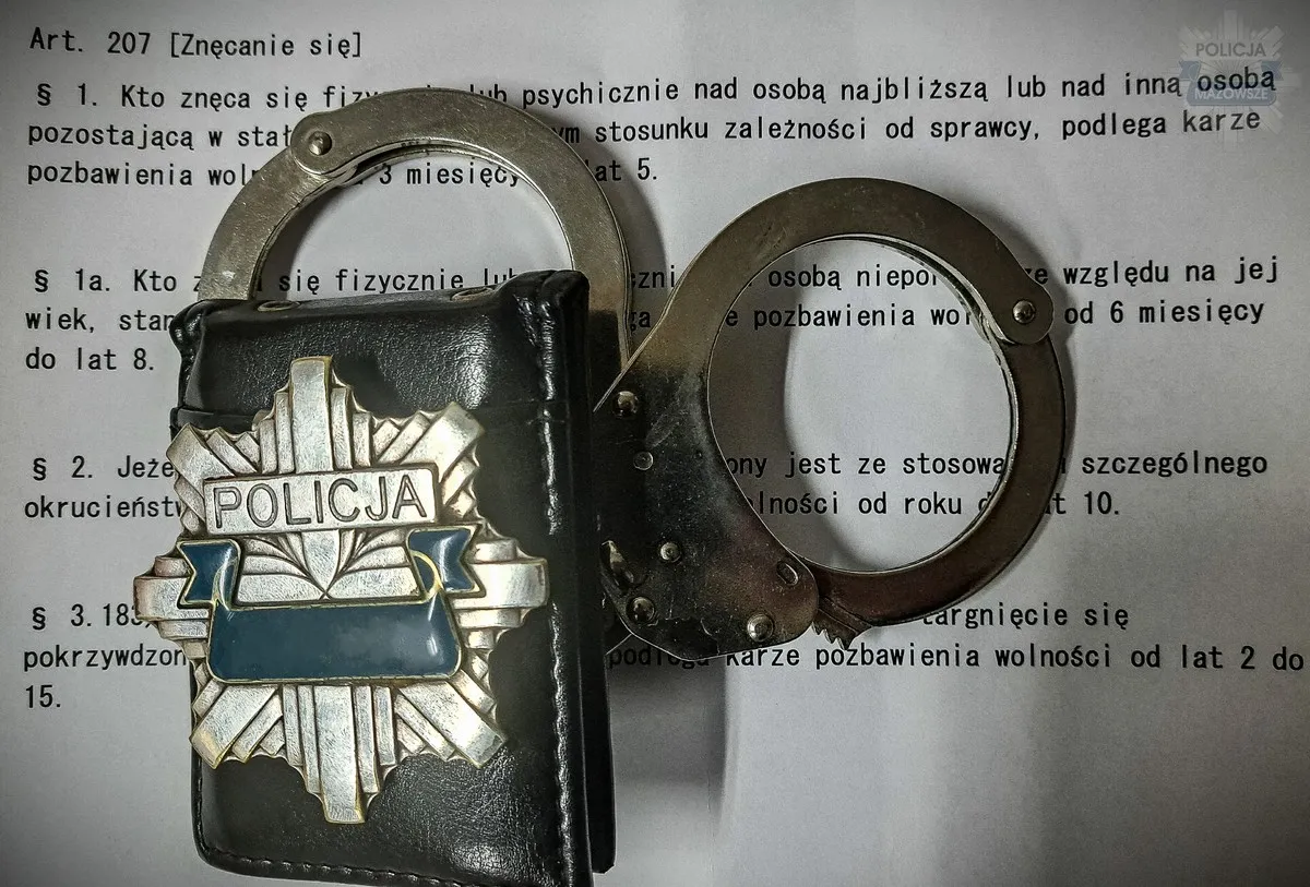 Mąż znęcał się nad żoną, a syn nad matką. Obaj usłyszeli zarzuty