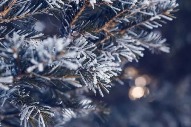 IMGW wskazał najzimniejsze miejsce w Polsce. Odczuwalne minus 27 stopni