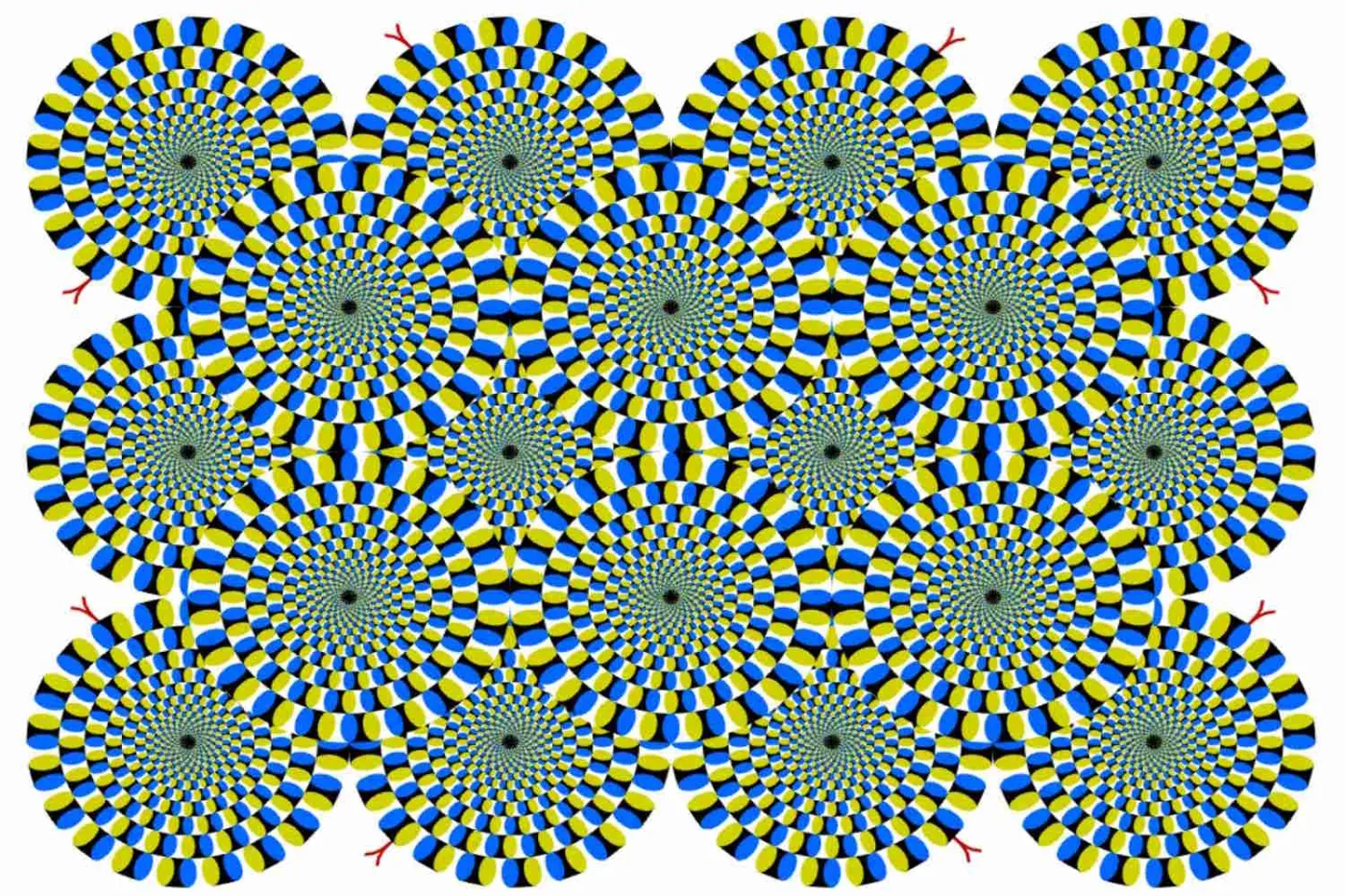 Widzisz kręcące się węże? Na tym polega tajemnica popularnej iluzji optycznej