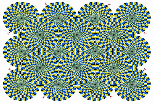 Widzisz kręcące się węże? Na tym polega tajemnica popularnej iluzji optycznej