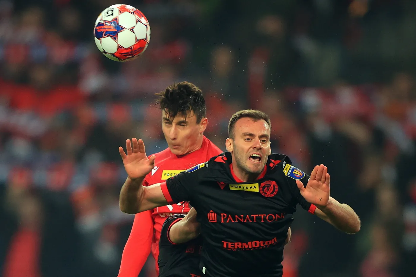 Dawid Szot i Luis da Silva