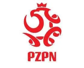 pzpn-logo-38203345.jpg