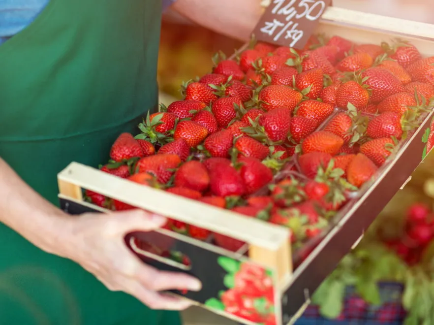 Tyle będą kosztować pierwsze polskie truskawki w 2024 roku