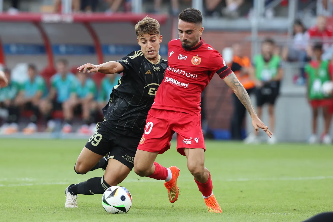 Guilherme Zimovski i Fran Alvarez