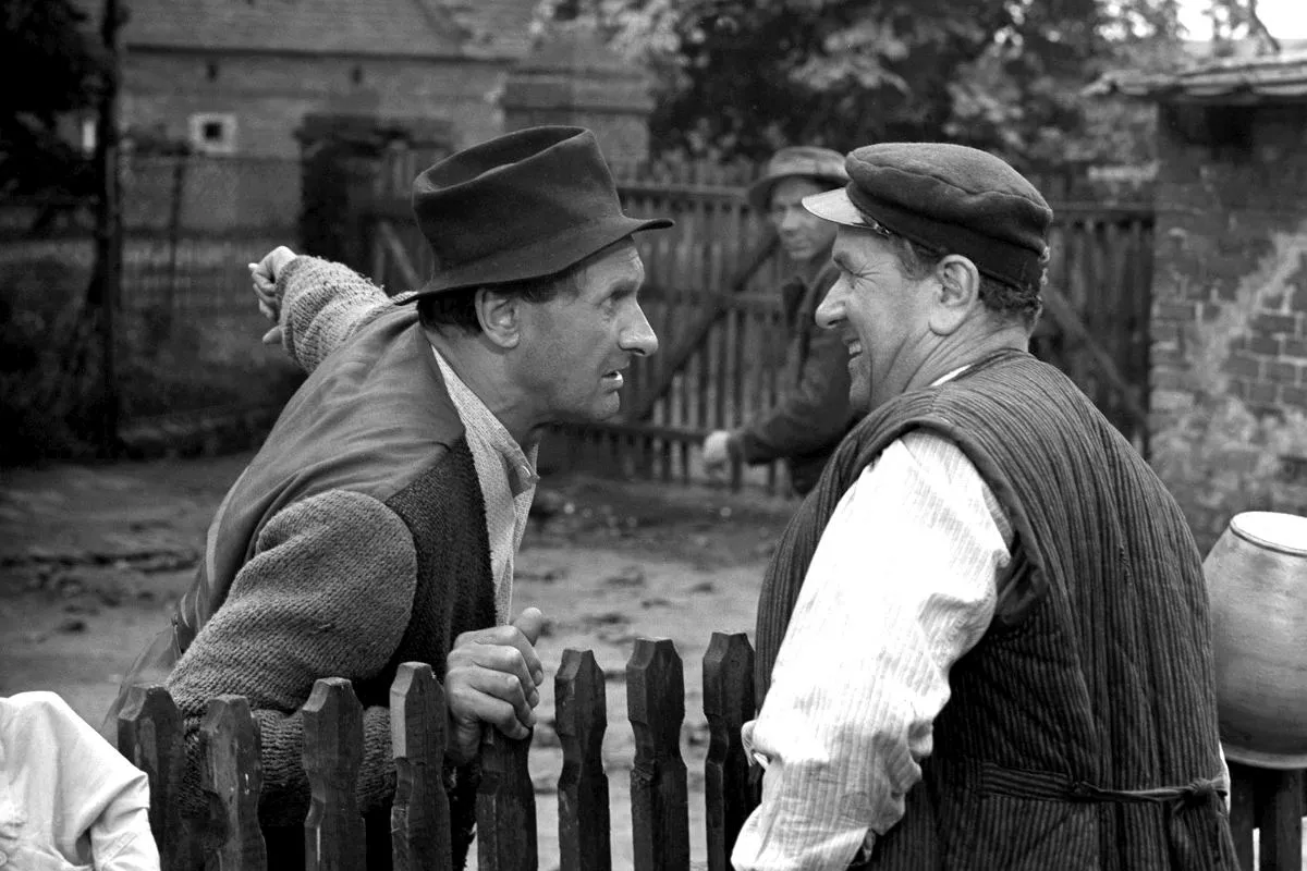 Najlepsze polskie filmy wszech czasów i kultowe cytaty. Wybiorą je same gwiazdy