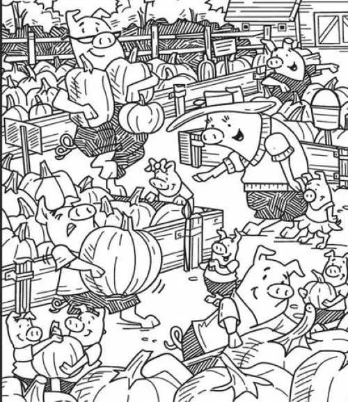 Obrazkowa zagadka na inteligencję. Tylko 2 na 29 osób potrafi rozwiązać tę łamigłówkę