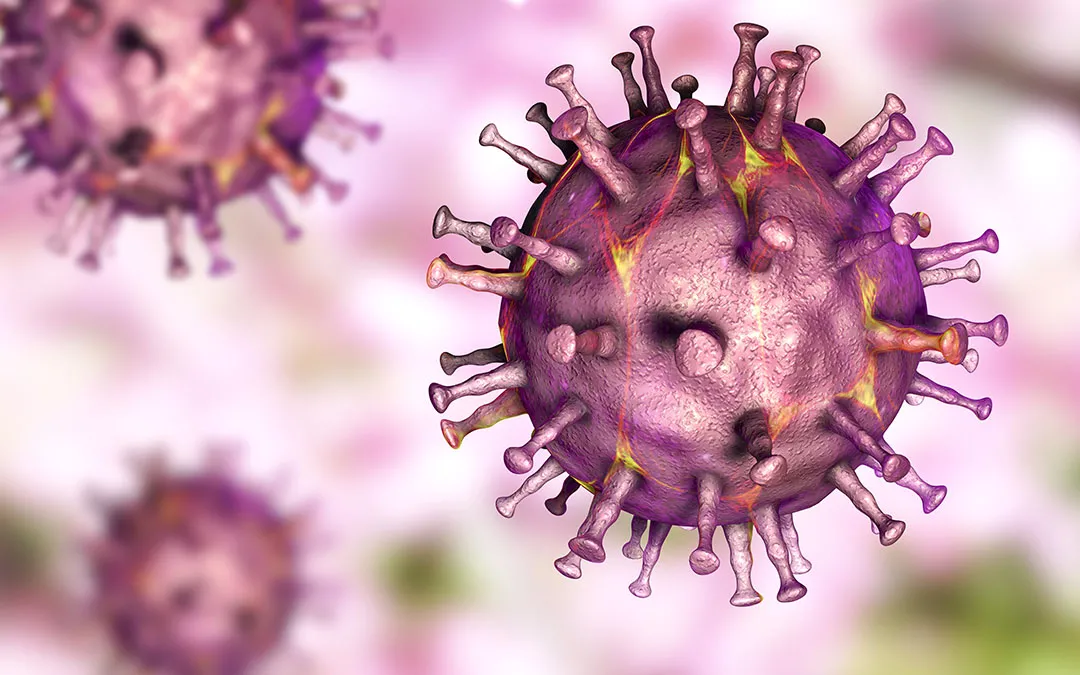 Wirus zaatakował pierwszy raz od 1988 roku. Jest przy granicy z Polską