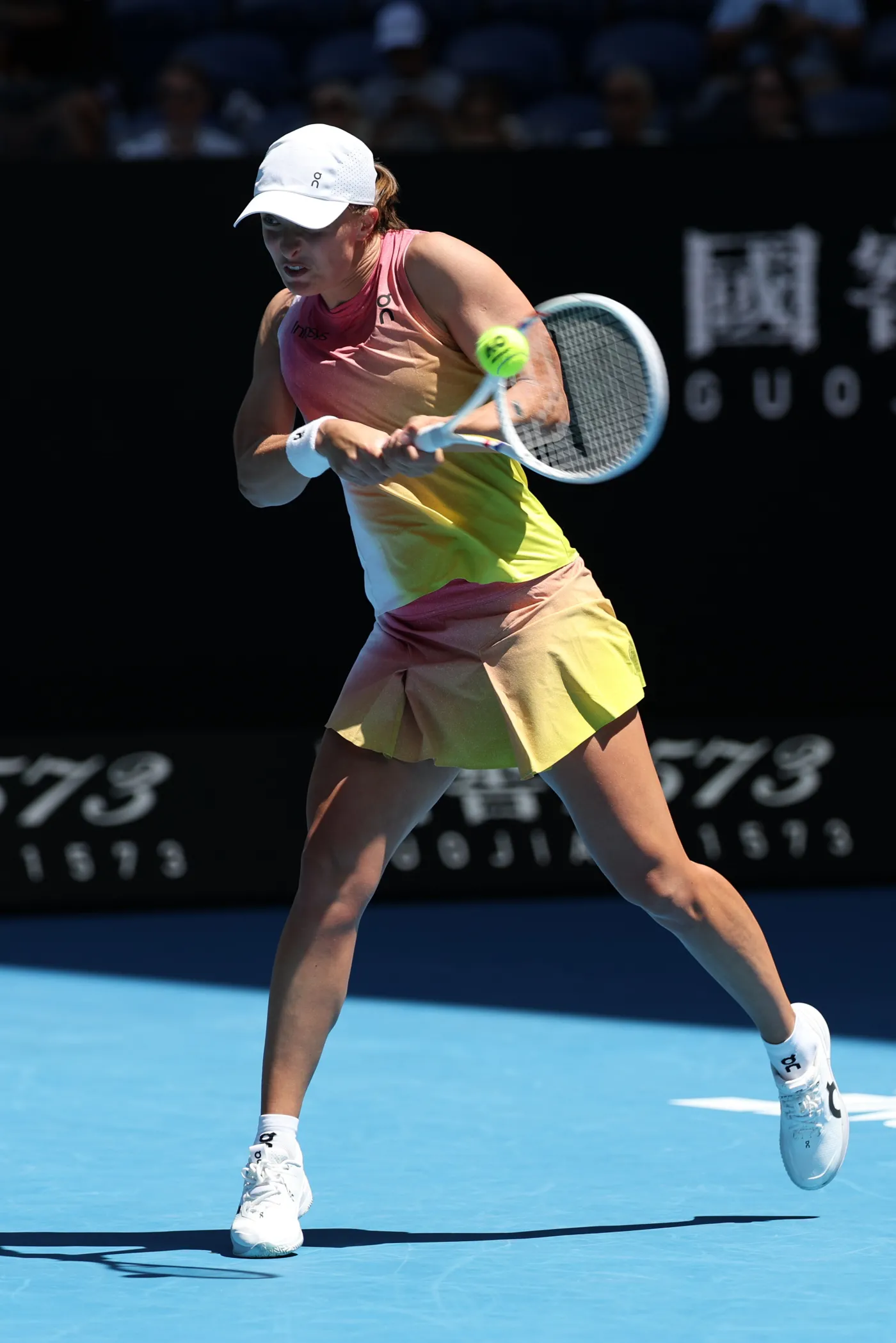 25116006-38386050.jpg