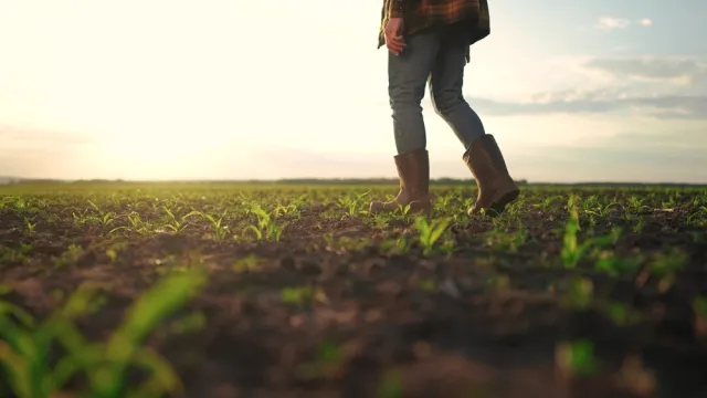 Sensacja na Mazurach. Na pastwisku znalazł prawdziwy skarb