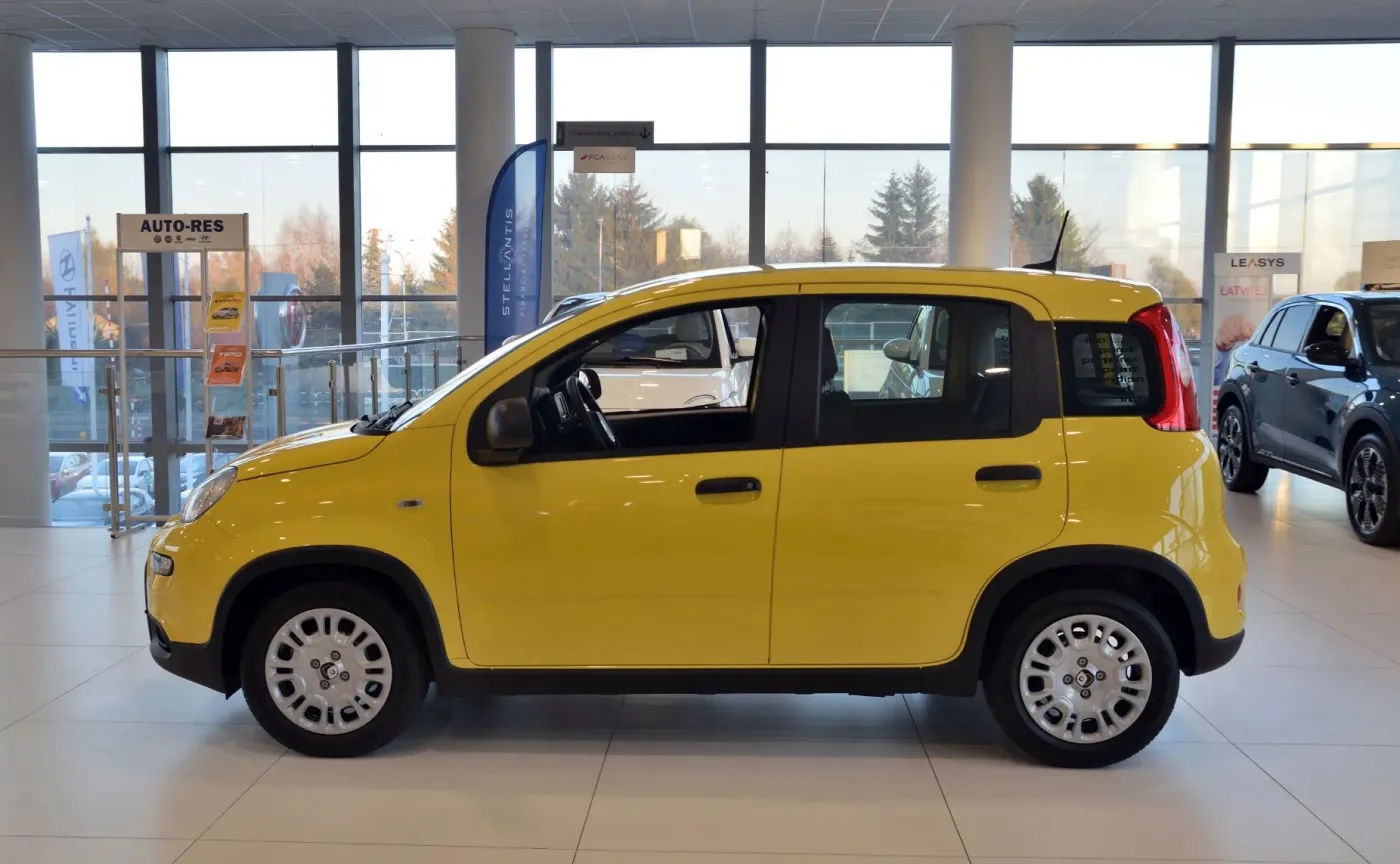 fiat-panda-38523476.jpg