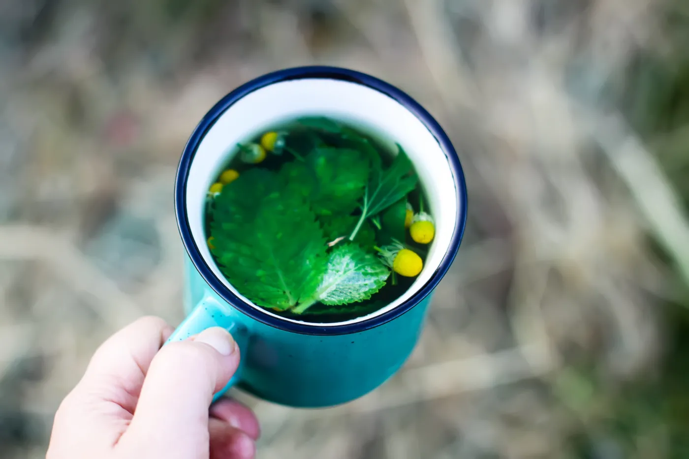Z owoców zrobisz pyszny dżem, z liści herbatkę na trawienie. Naprawdę działa!