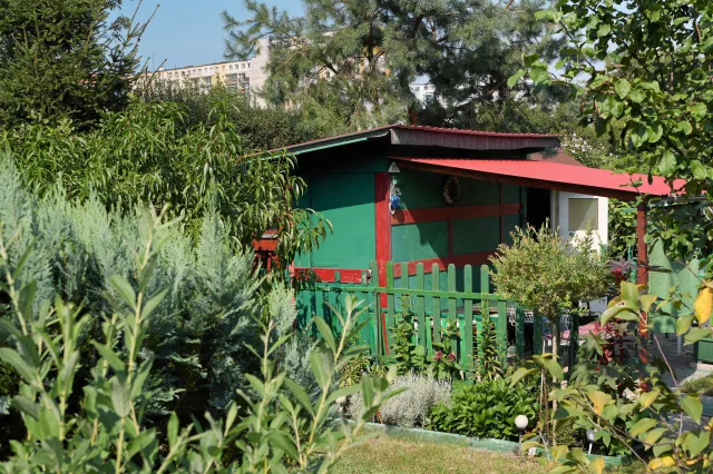 Rząd może błyskawicznie przejąć ogródki działkowe. Specustawa precyzuje warunki