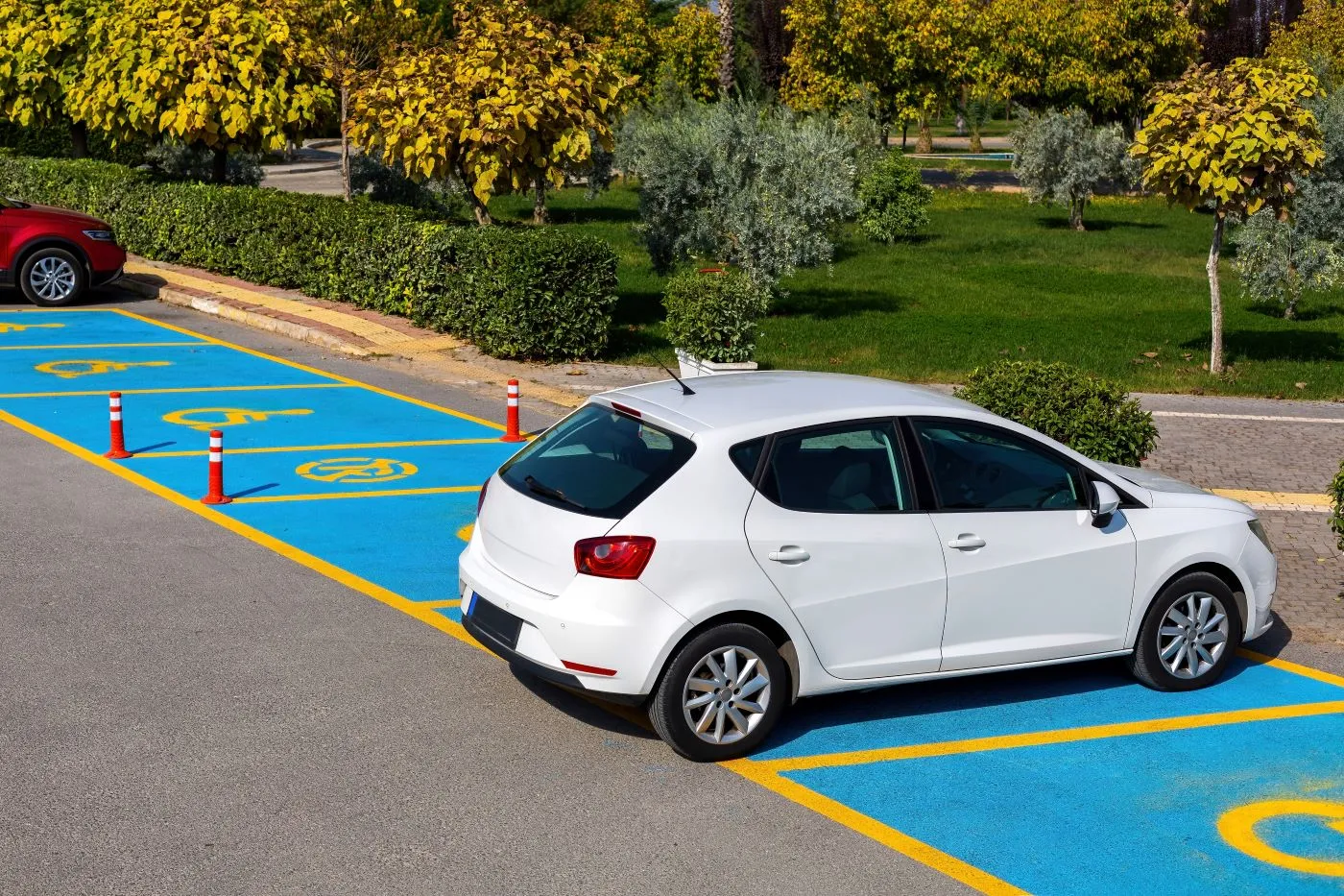 Dotacje do samochodów dla osób z niepełnosprawnością. Start 1 sierpnia