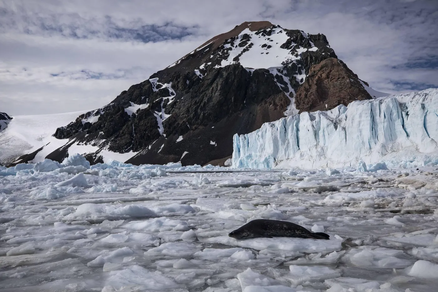 Szokujące odkrycie na Antarktydzie. Katastrofa wisi w powietrzu