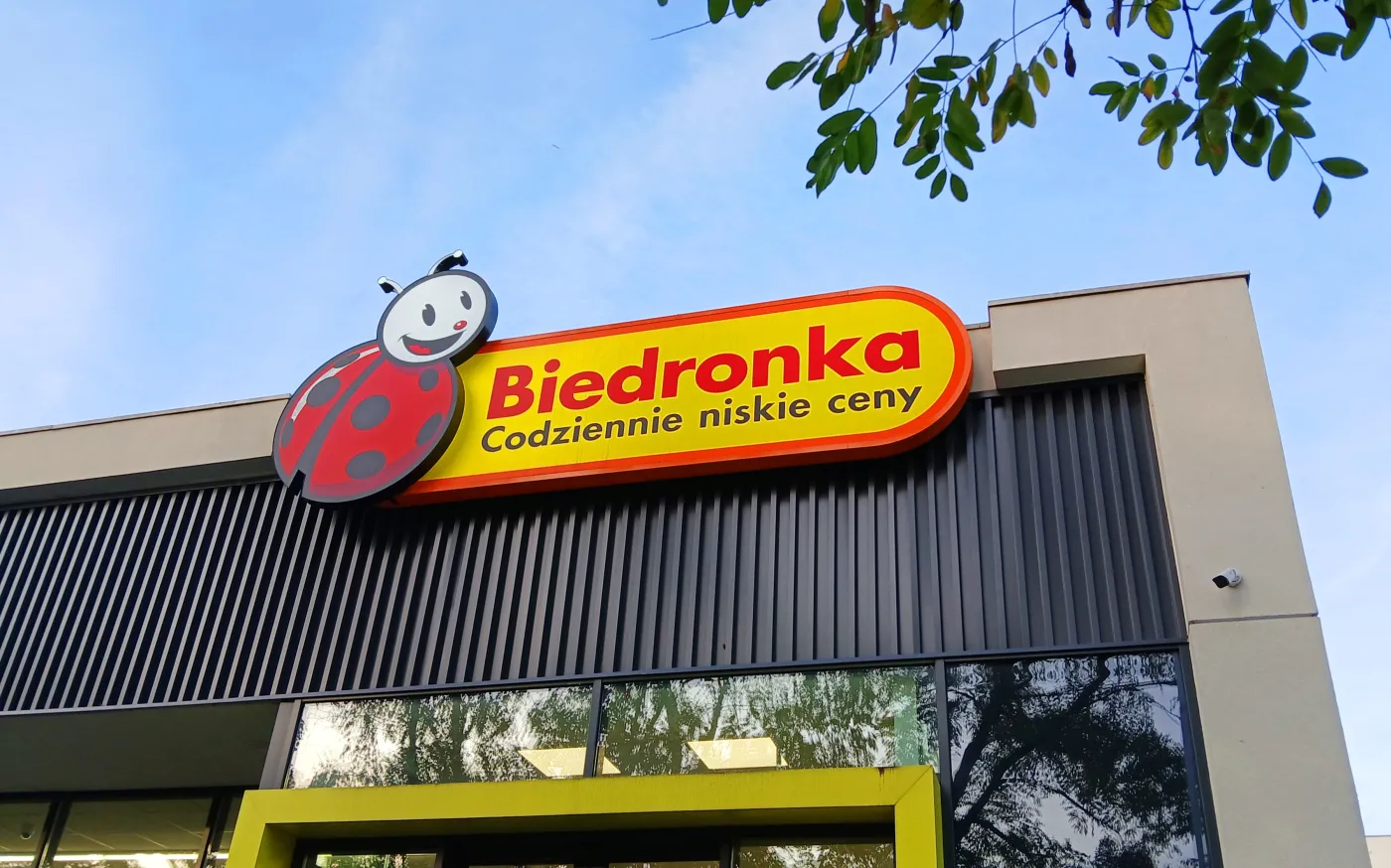 Pilny komunikat Biedronki. Trujący metal w popularnym warzywie