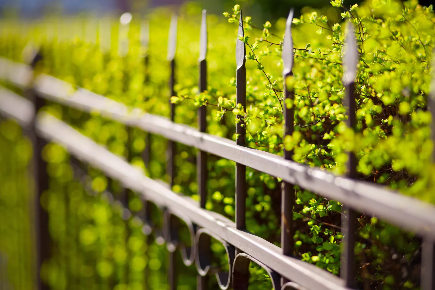 Od 2026 roku zakaz ostro zakończonych elementów na ogrodzeniach (także już istniejących). Czy Polacy będą musieli masowo wymieniać płoty?