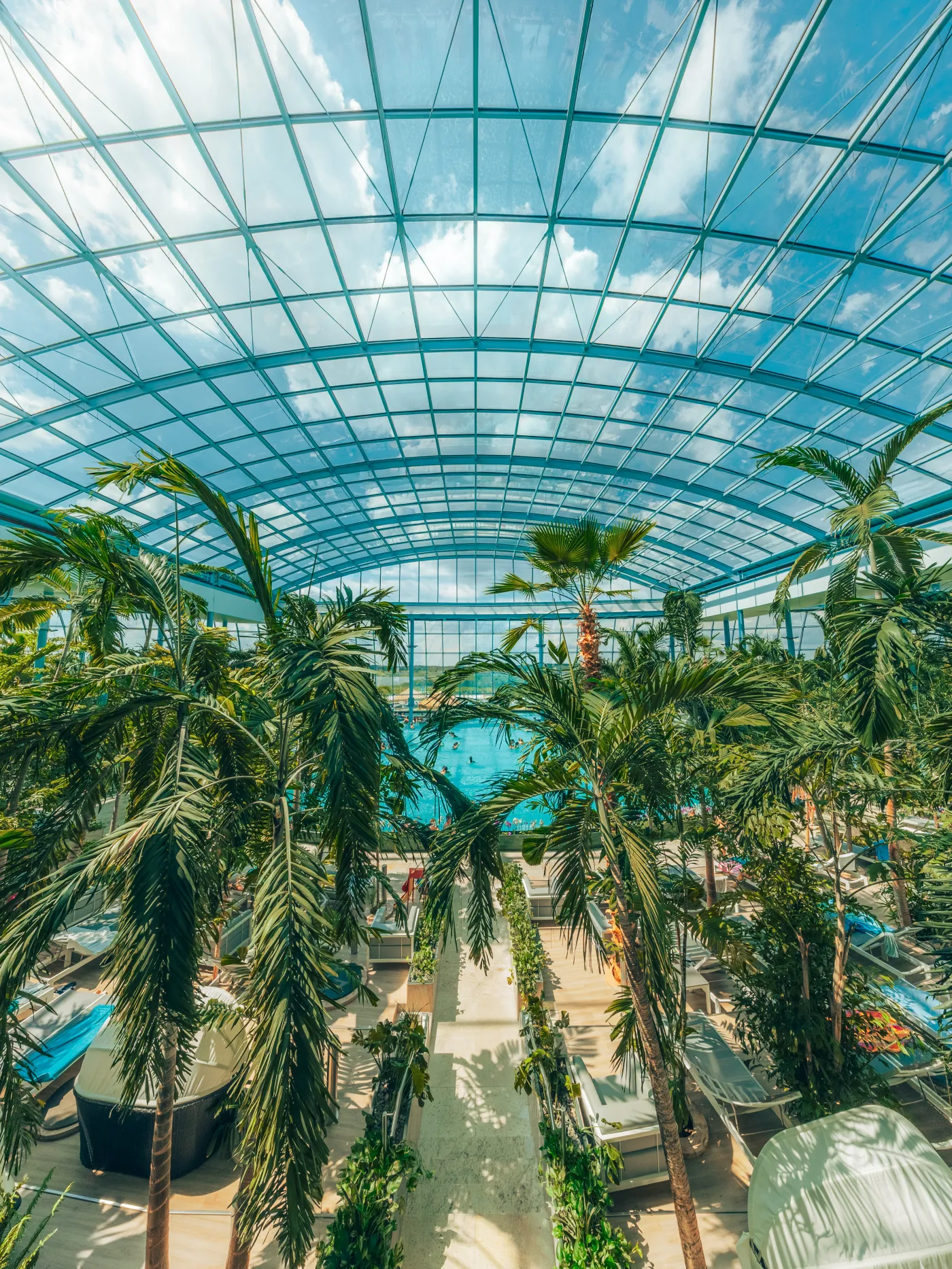 suntago, wellness