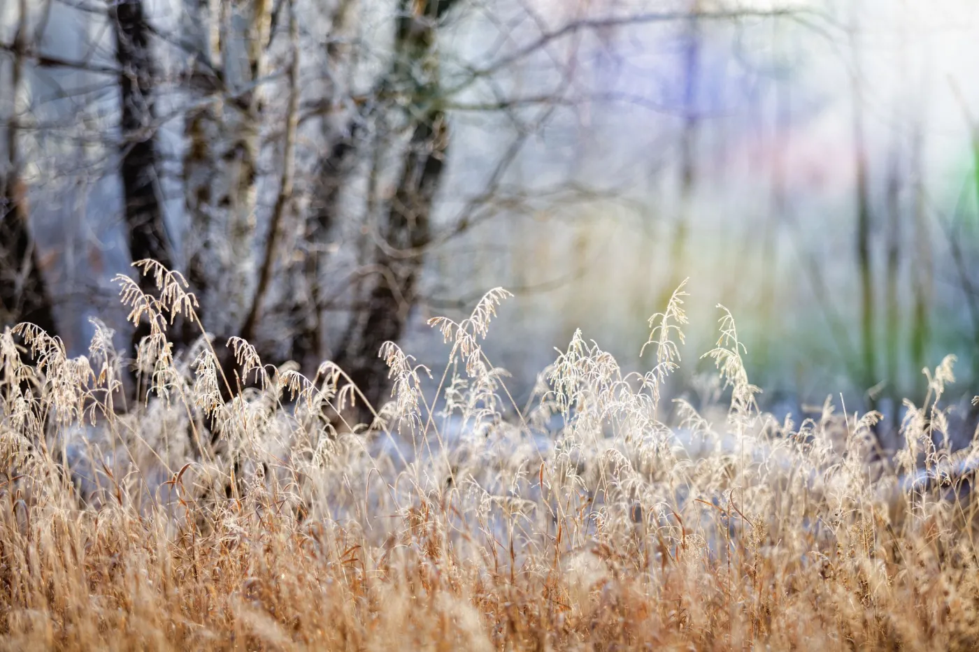 IMGW bije na alarm: Śnieg, burze, przymrozki. To nie koniec niespodzianek