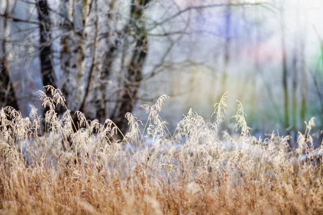 Pogoda jednak nie odpuści. IMGW podaje, kiedy pierwsze przymrozki