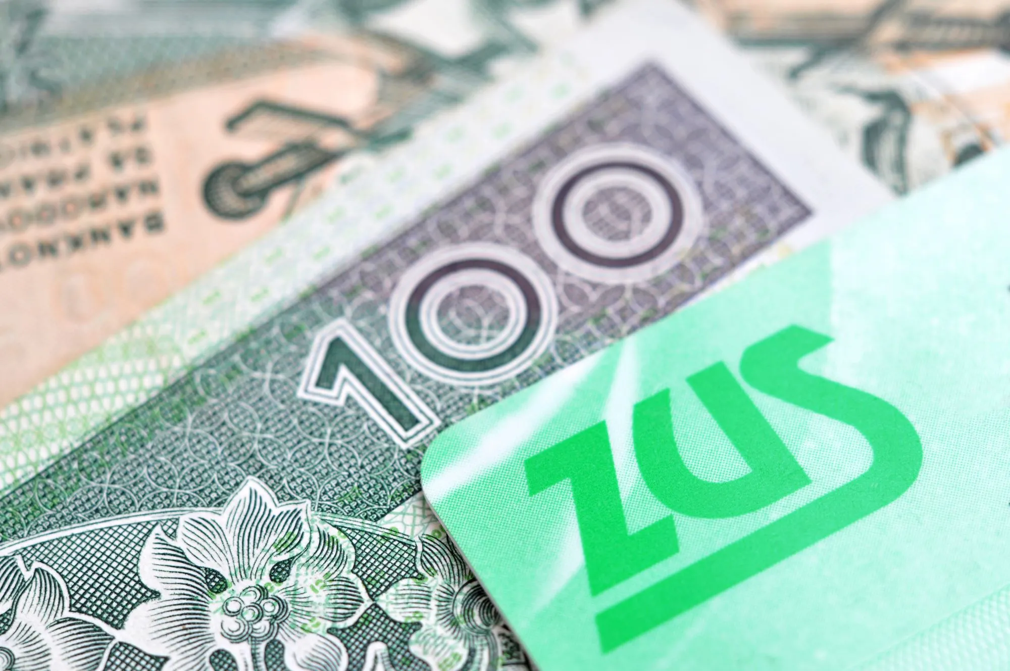 Świadczenie 500 zł z ZUS. Jakie warunki musisz spełnić w 2026 roku?