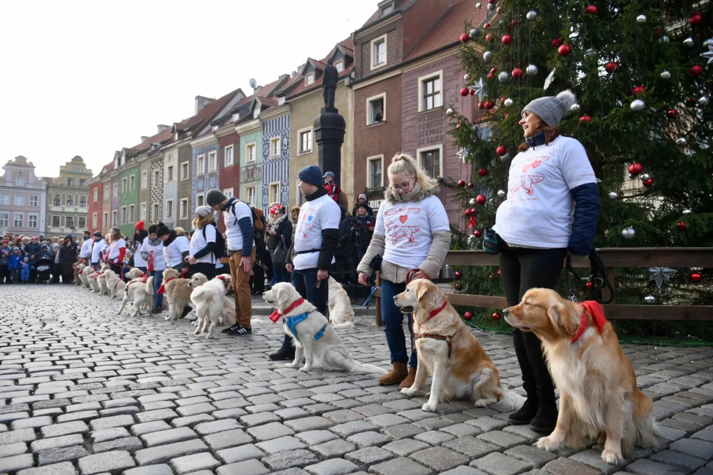 Imperialni szturmowcy, pokazy psów... 28. Finał WOŚP