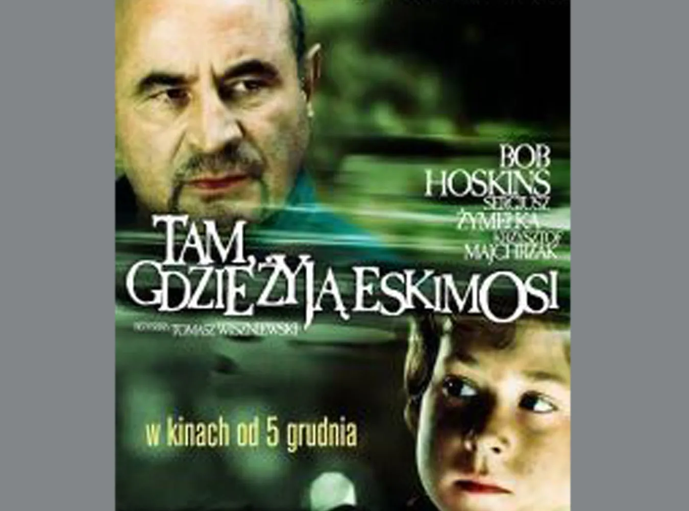 Tam, gdzie żyją Eskimosi we Wrocławiu