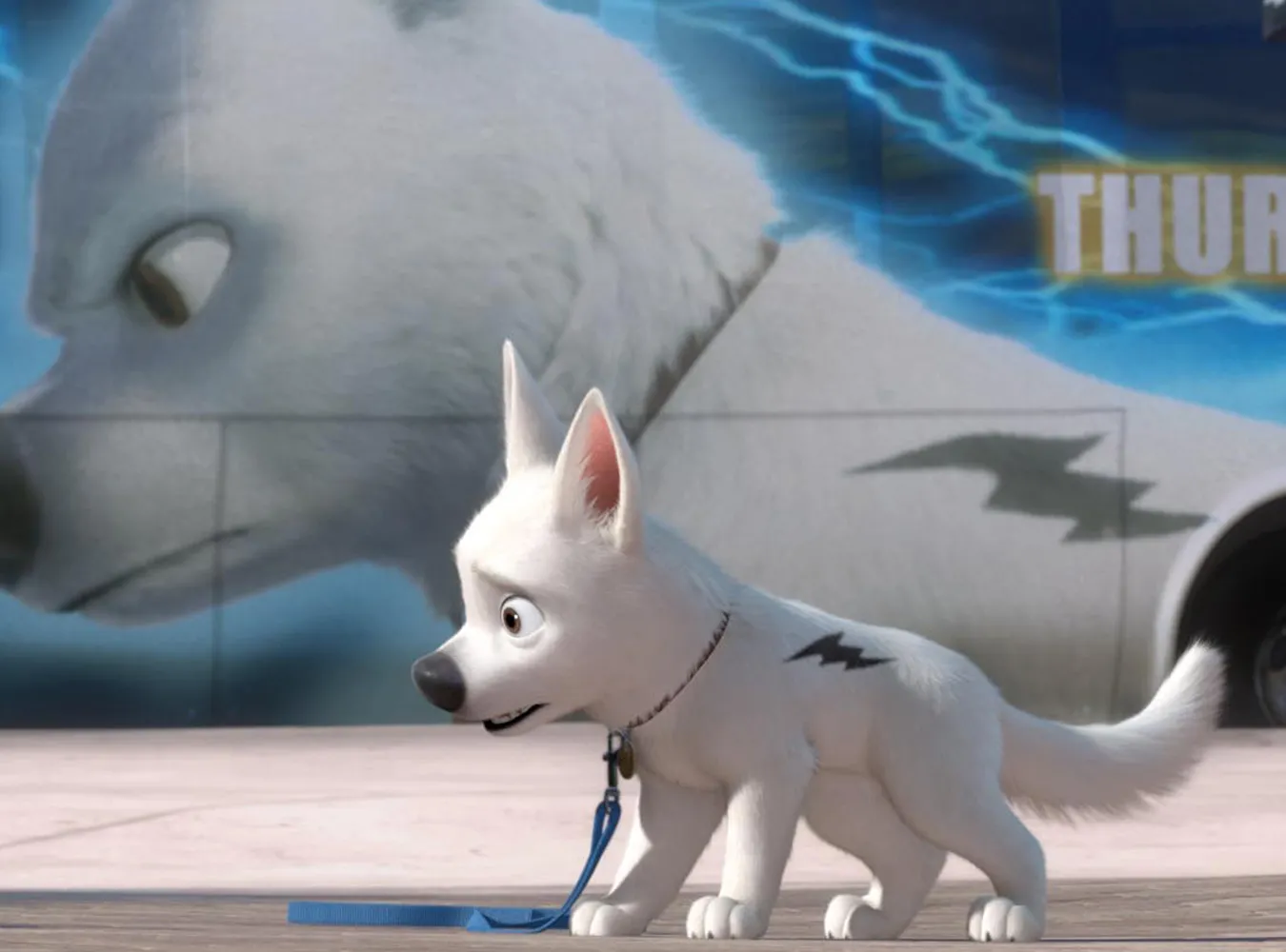 Piorun i Szyc pomogą zwierzakom