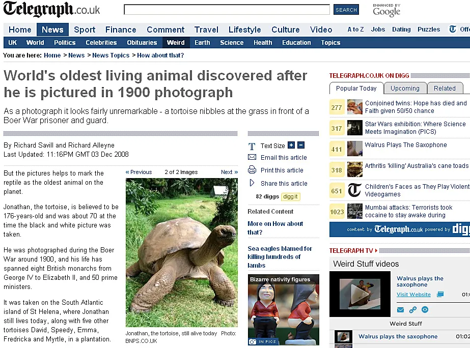 Zobacz najstarsze zwierzę na świecie