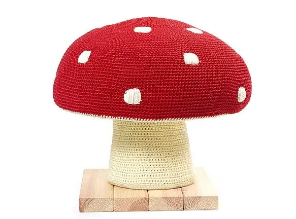 Podaruj dziecku... muchomora