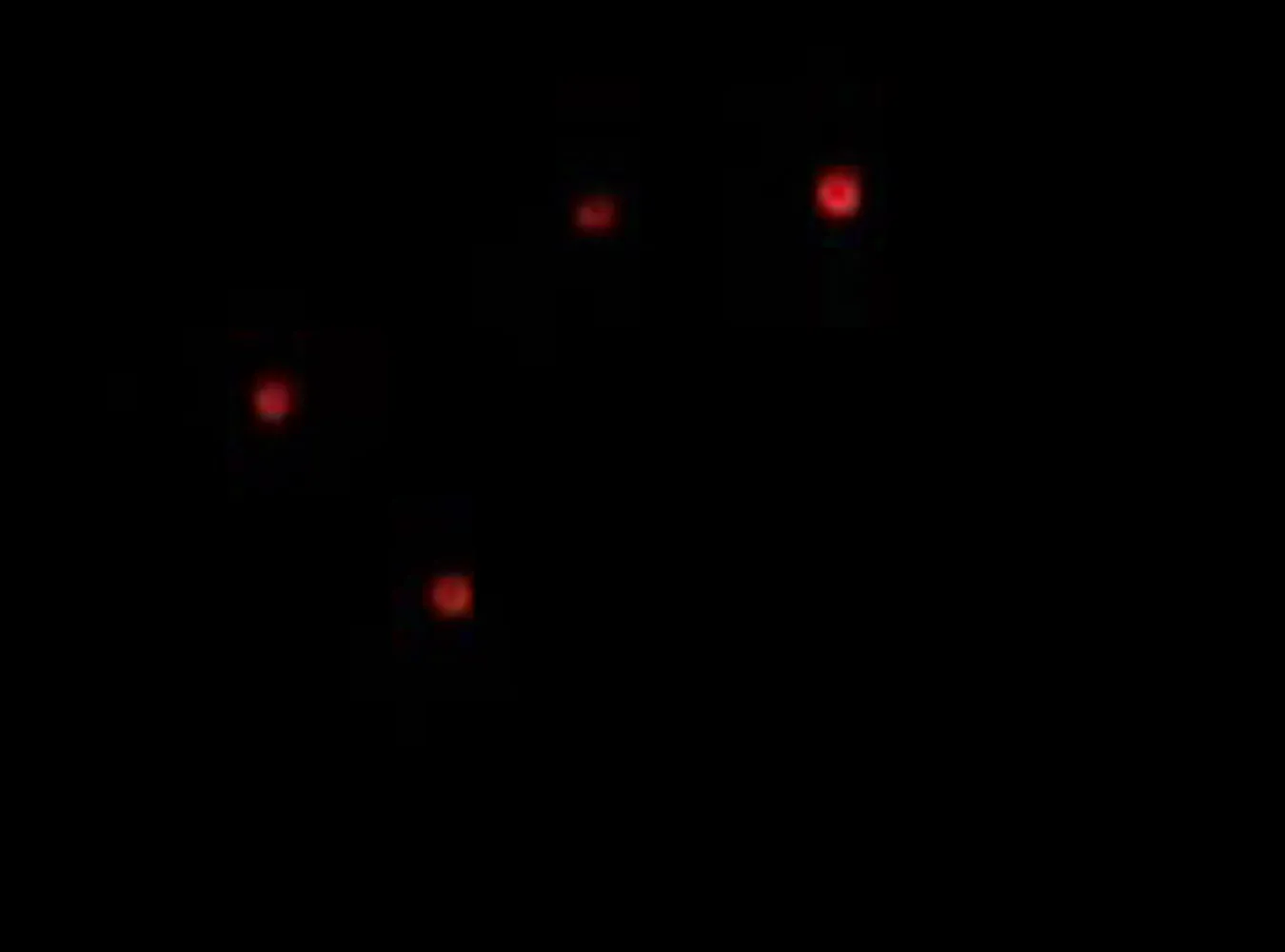 Miliony Amerykanów patrzyły na UFO