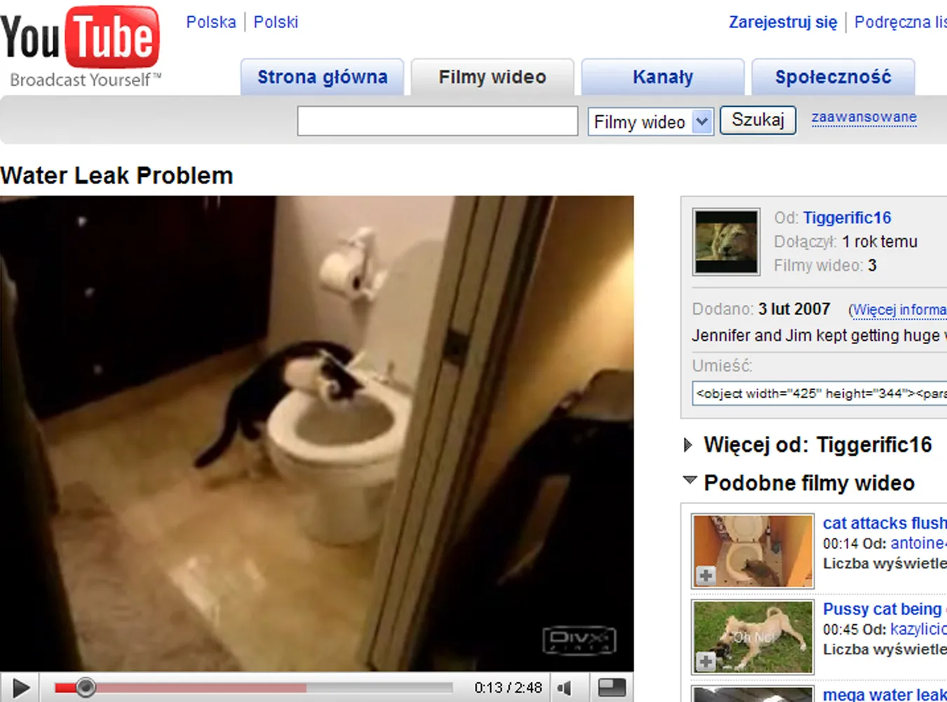 Kot marnotrawny puści cię z torbami