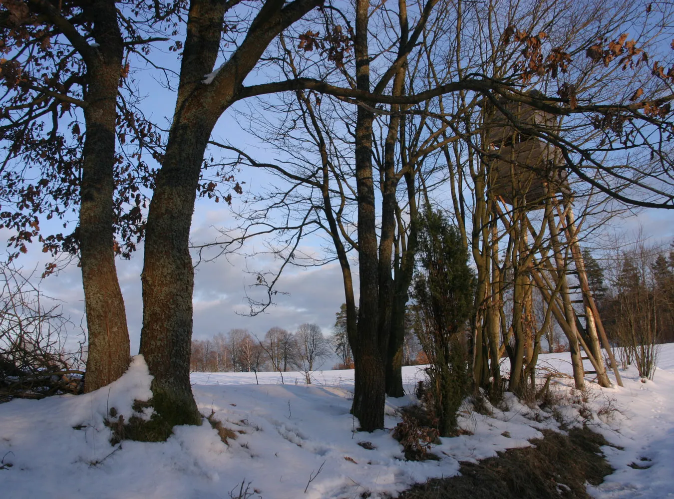 Chłopak powiesił się przez głupich kolegów